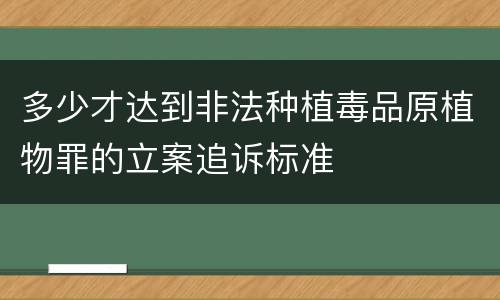 多少才达到非法种植毒品原植物罪的立案追诉标准