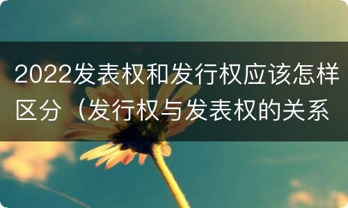 2022发表权和发行权应该怎样区分（发行权与发表权的关系）