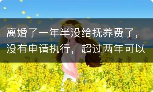 离婚了一年半没给抚养费了，没有申请执行，超过两年可以申请强制执行吗