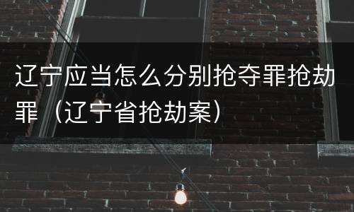 辽宁应当怎么分别抢夺罪抢劫罪（辽宁省抢劫案）