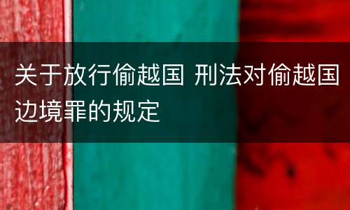 关于放行偷越国 刑法对偷越国边境罪的规定