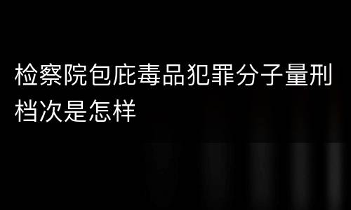 检察院包庇毒品犯罪分子量刑档次是怎样