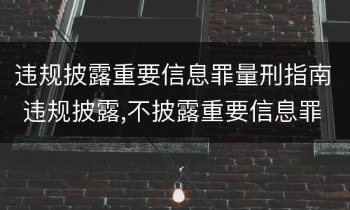 违规披露重要信息罪量刑指南 违规披露,不披露重要信息罪的立案标准
