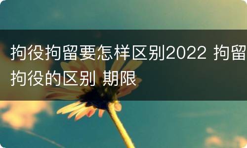 拘役拘留要怎样区别2022 拘留拘役的区别 期限