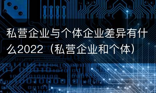 私营企业与个体企业差异有什么2022（私营企业和个体）
