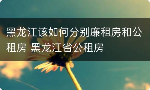 黑龙江该如何分别廉租房和公租房 黑龙江省公租房