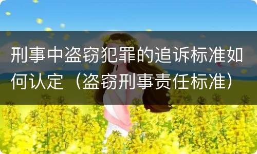 刑事中盗窃犯罪的追诉标准如何认定（盗窃刑事责任标准）