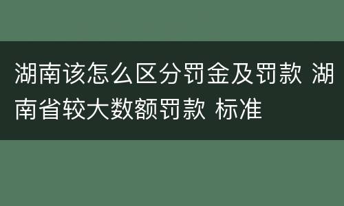湖南该怎么区分罚金及罚款 湖南省较大数额罚款 标准