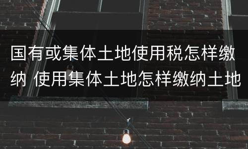 国有或集体土地使用税怎样缴纳 使用集体土地怎样缴纳土地税