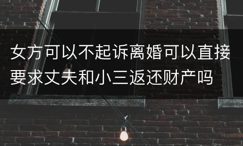 女方可以不起诉离婚可以直接要求丈夫和小三返还财产吗