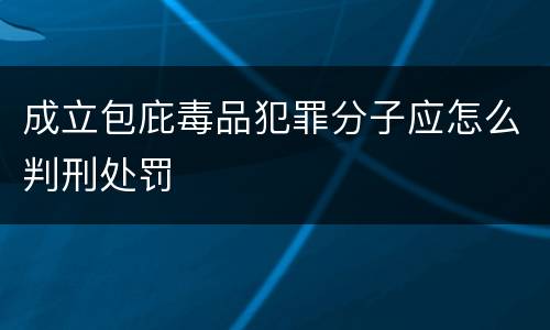 成立包庇毒品犯罪分子应怎么判刑处罚