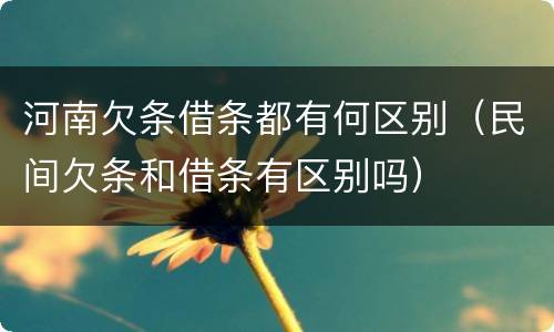 河南欠条借条都有何区别（民间欠条和借条有区别吗）