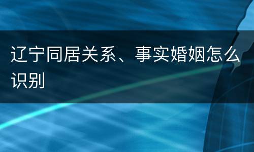 辽宁同居关系、事实婚姻怎么识别