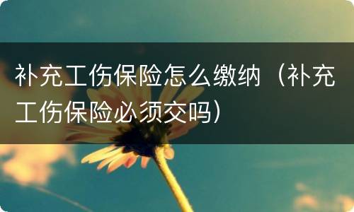 补充工伤保险怎么缴纳（补充工伤保险必须交吗）