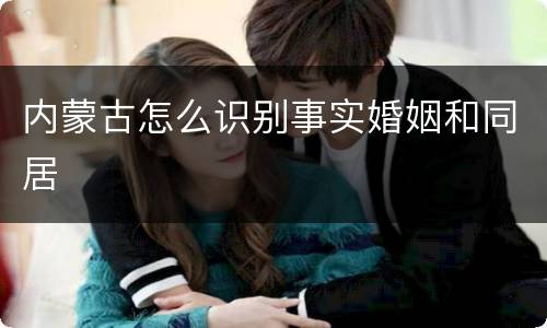 内蒙古怎么识别事实婚姻和同居