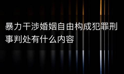 暴力干涉婚姻自由构成犯罪刑事判处有什么内容
