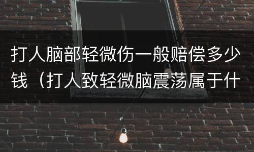打人脑部轻微伤一般赔偿多少钱（打人致轻微脑震荡属于什么伤害）
