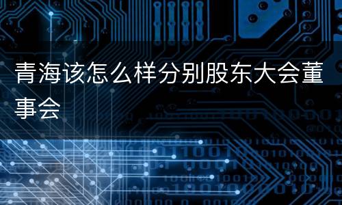 青海该怎么样分别股东大会董事会