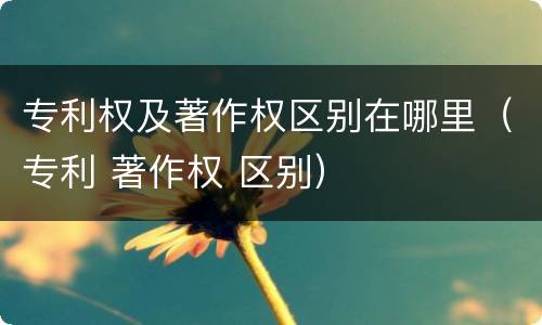 专利权及著作权区别在哪里（专利 著作权 区别）