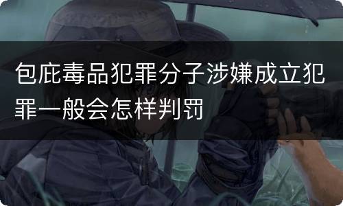包庇毒品犯罪分子涉嫌成立犯罪一般会怎样判罚