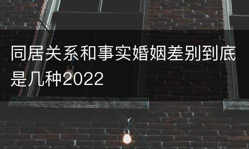 同居关系和事实婚姻差别到底是几种2022