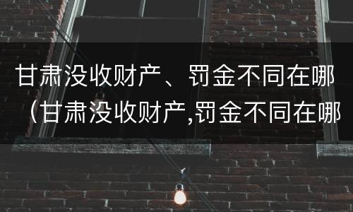 甘肃没收财产、罚金不同在哪（甘肃没收财产,罚金不同在哪缴纳）