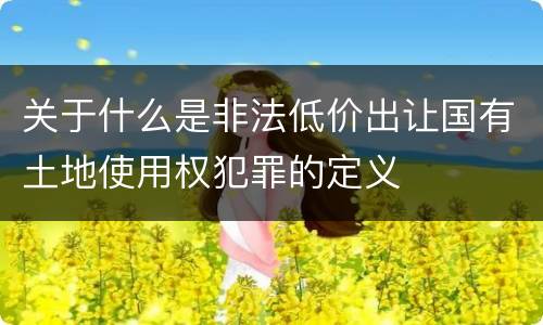 关于什么是非法低价出让国有土地使用权犯罪的定义