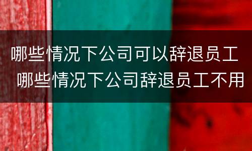 哪些情况下公司可以辞退员工 哪些情况下公司辞退员工不用赔偿