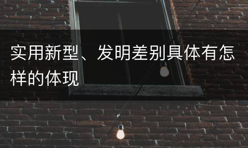 实用新型、发明差别具体有怎样的体现