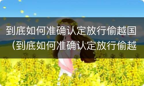 到底如何准确认定放行偷越国（到底如何准确认定放行偷越国货品）