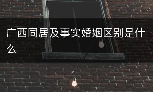 广西同居及事实婚姻区别是什么