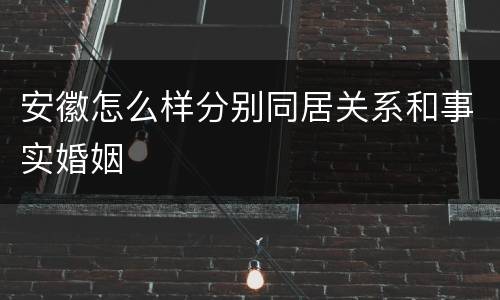 安徽怎么样分别同居关系和事实婚姻