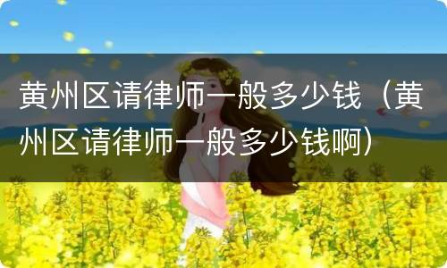 黄州区请律师一般多少钱（黄州区请律师一般多少钱啊）
