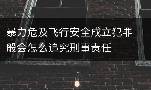 暴力危及飞行安全成立犯罪一般会怎么追究刑事责任