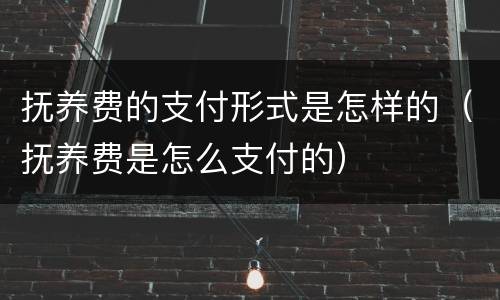 抚养费的支付形式是怎样的（抚养费是怎么支付的）