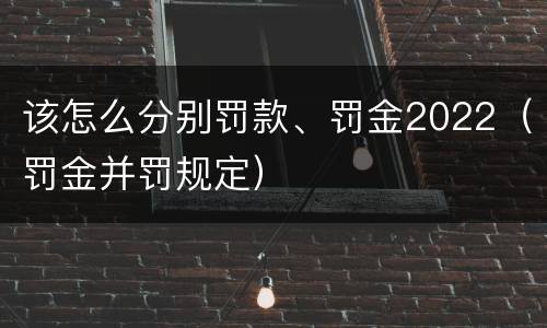 该怎么分别罚款、罚金2022（罚金并罚规定）