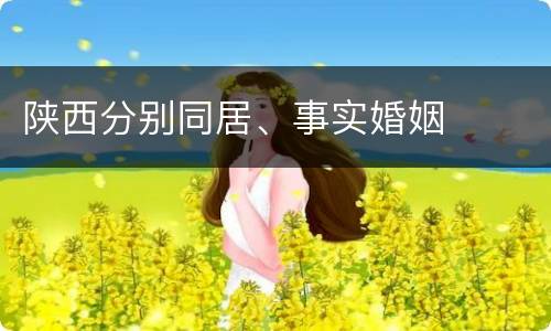 陕西分别同居、事实婚姻