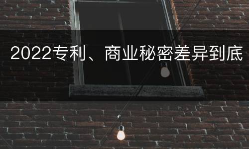 2022专利、商业秘密差异到底