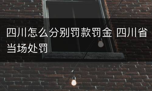 四川怎么分别罚款罚金 四川省当场处罚