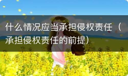 什么情况应当承担侵权责任（承担侵权责任的前提）