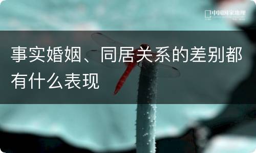 事实婚姻、同居关系的差别都有什么表现