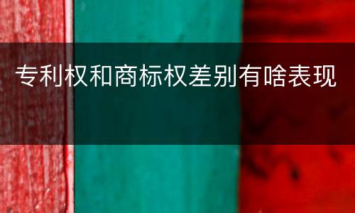 专利权和商标权差别有啥表现
