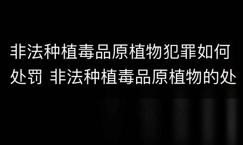 非法种植毒品原植物犯罪如何处罚 非法种植毒品原植物的处罚