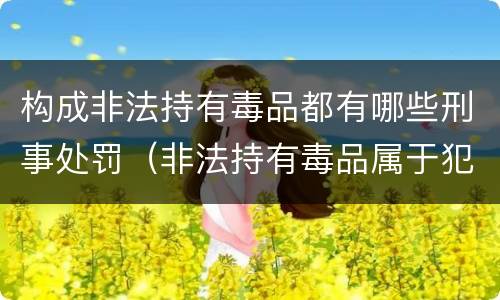 构成非法持有毒品都有哪些刑事处罚（非法持有毒品属于犯罪吗）
