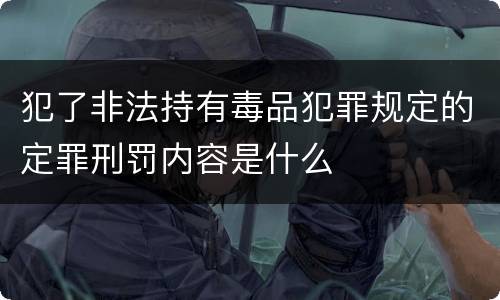 犯了非法持有毒品犯罪规定的定罪刑罚内容是什么