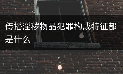 传播淫秽物品犯罪构成特征都是什么