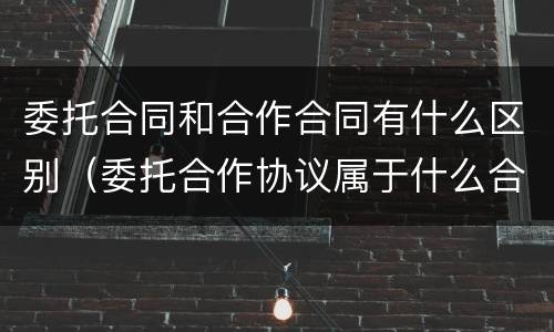 委托合同和合作合同有什么区别（委托合作协议属于什么合同）