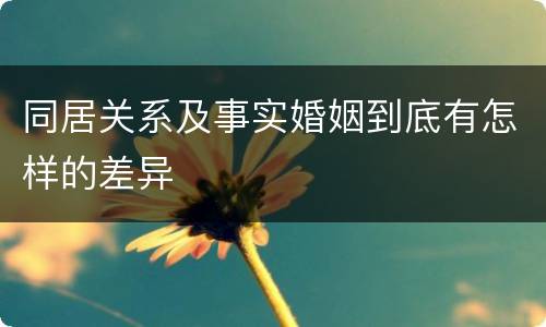 同居关系及事实婚姻到底有怎样的差异