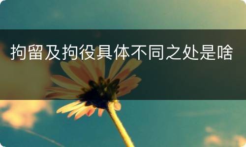 拘留及拘役具体不同之处是啥