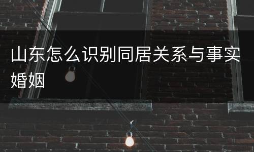 山东怎么识别同居关系与事实婚姻